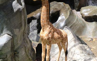 公園戶外景區(qū)創(chuàng)意玻璃鋼仿真動物長頸鹿雕塑