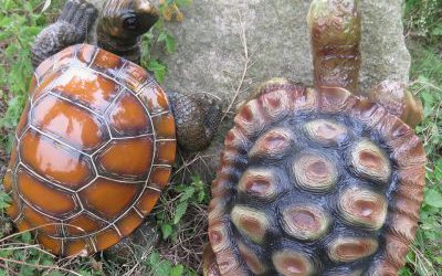 公園草坪玻璃鋼彩繪仿真動(dòng)物烏龜?shù)袼?>
	                <div>公園草坪玻璃鋼彩繪仿真動(dòng)物烏龜?shù)袼?/div>
	            </a>
	        	    </div>
	    <div   class=